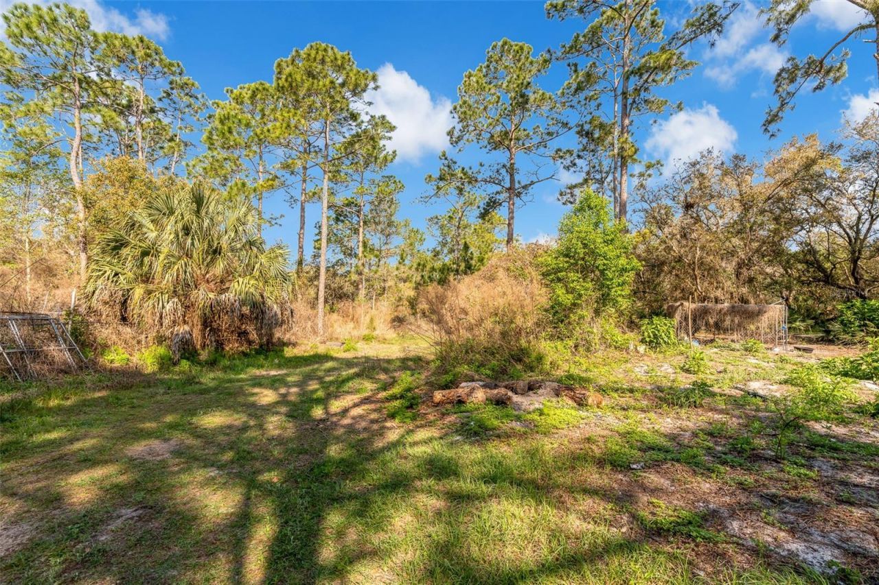 32404 Highland Lakes Road, Deland, FL 32720 Photo