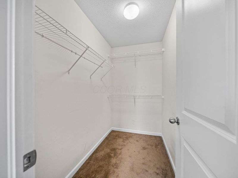 5584 Lanterns Way, Orient, OH 43146 Photo 24