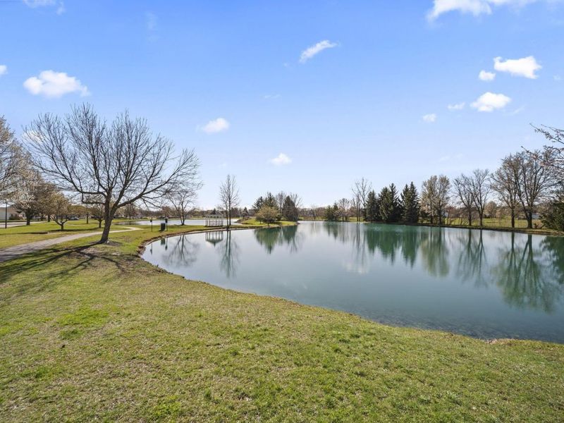 5584 Lanterns Way, Orient, OH 43146 Photo 40