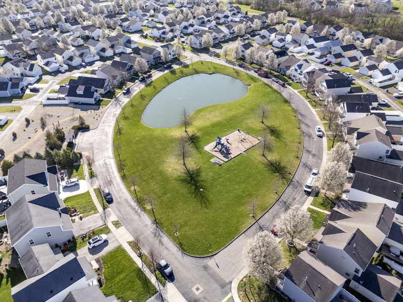 5584 Lanterns Way, Orient, OH 43146 Photo 49