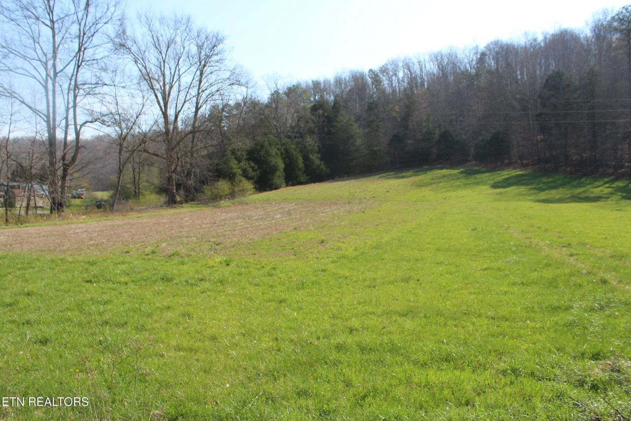 3044 Caney Creek Rd, Pall Mall, TN 38577 Main Photo