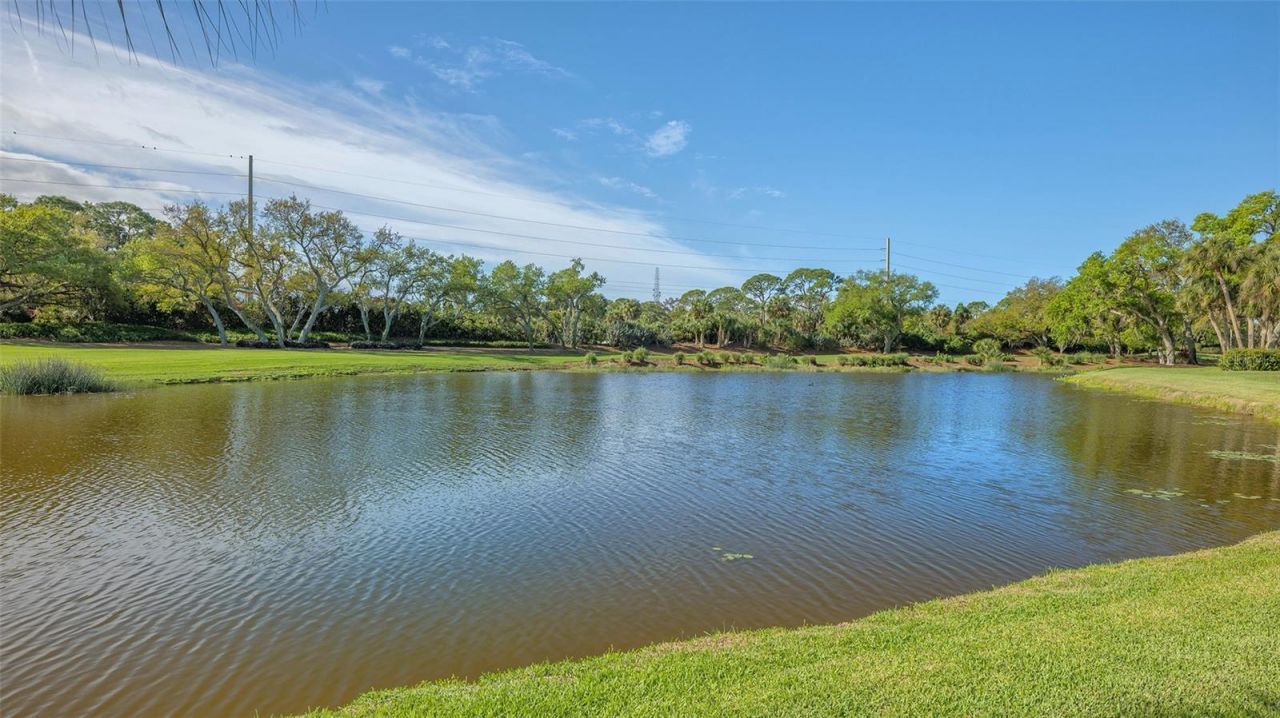 434 E Macewen Drive, Osprey, FL 34229 Photo