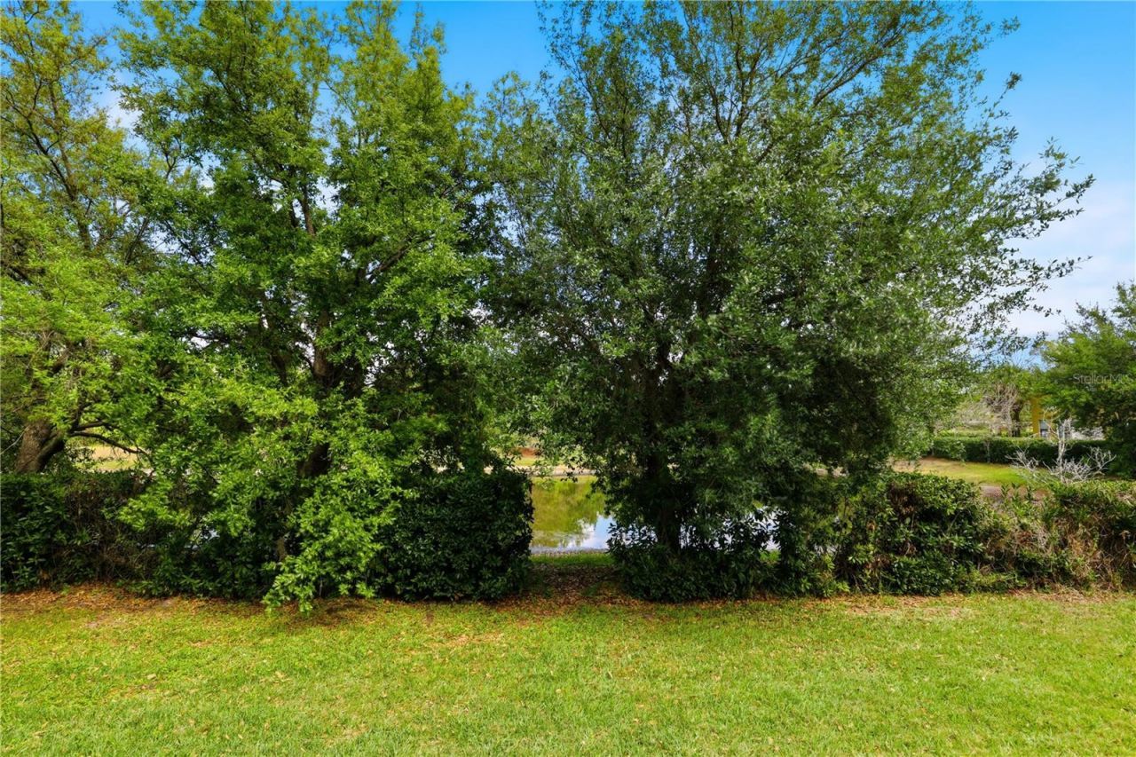 5335 Hidden Cypress Lane, Oviedo, FL 32765 Photo