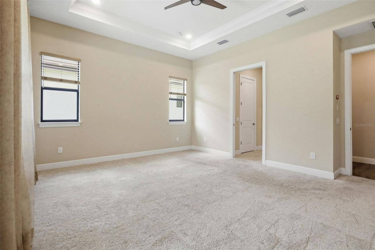 14907 Tavares Mill Avenue, Lithia, FL 33547 Photo