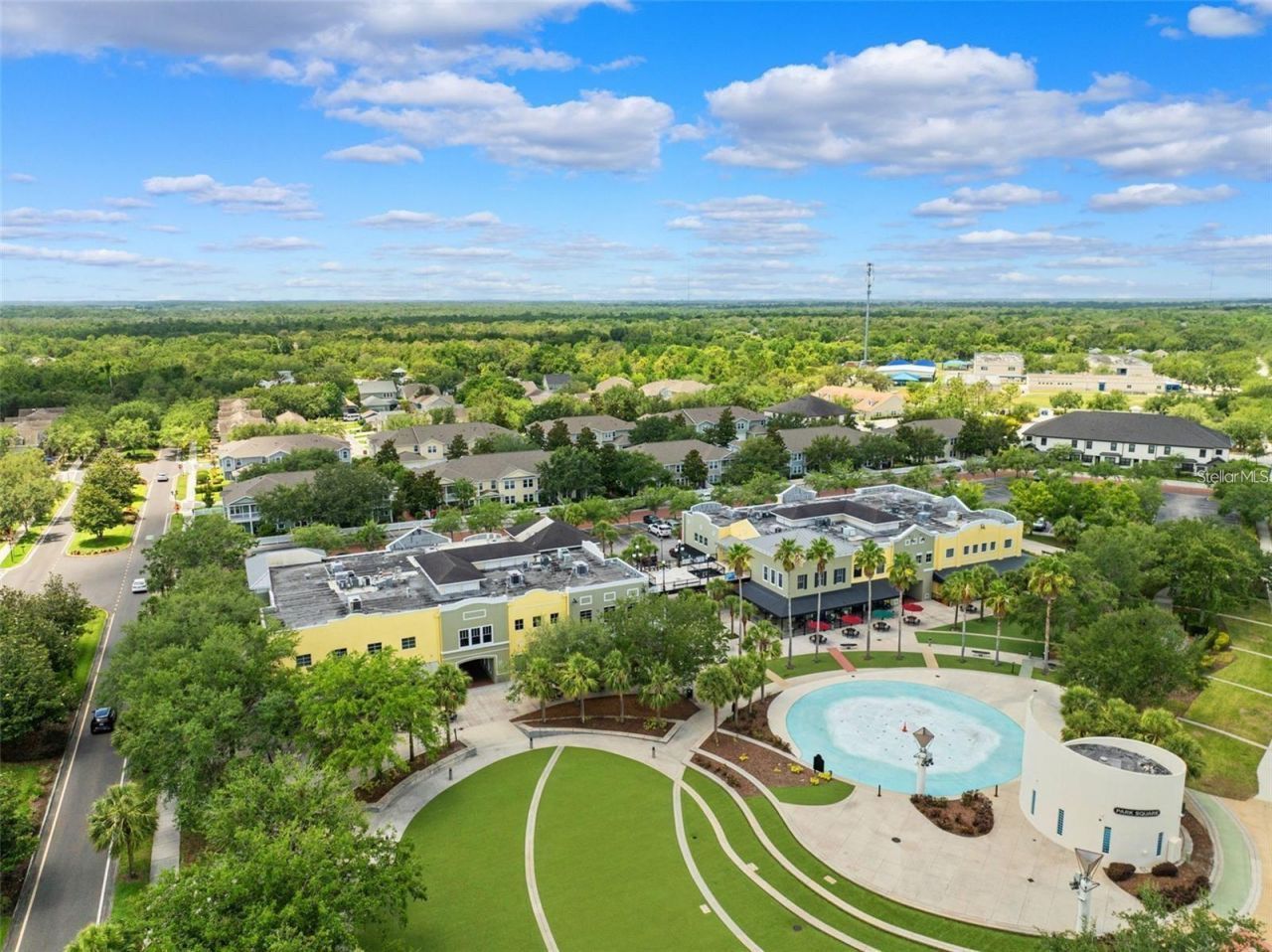 14907 Tavares Mill Avenue, Lithia, FL 33547 Photo