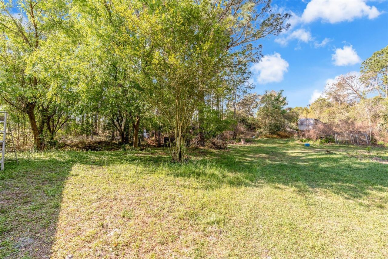 32404 Highland Lakes Road, Deland, FL 32720 Photo