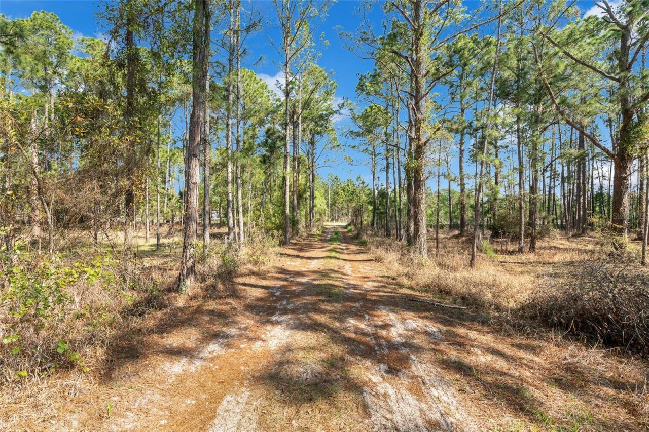 32404 Highland Lakes Road, Deland, FL 32720 Photo
