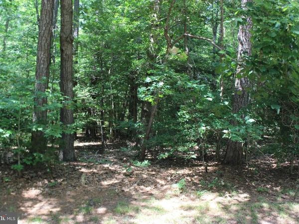 104 CUSTOM DRIVE, GREENBACKVILLE, VA 23356