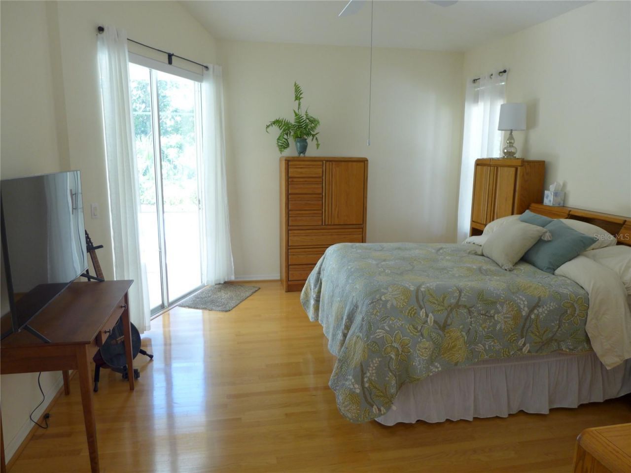 9003 Oakcrest Circle, Mount Dora, FL 32757 Photo