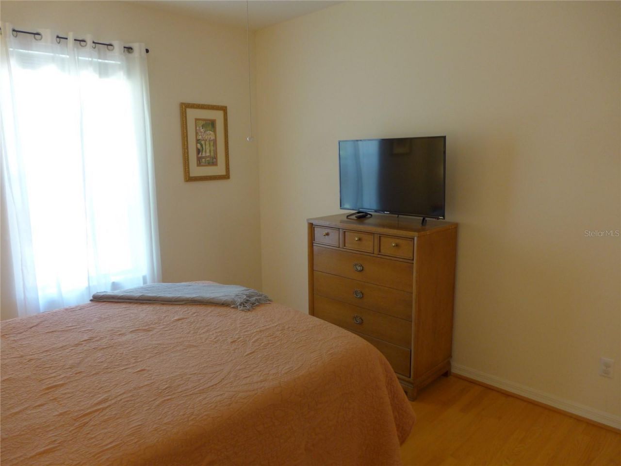 9003 Oakcrest Circle, Mount Dora, FL 32757 Photo