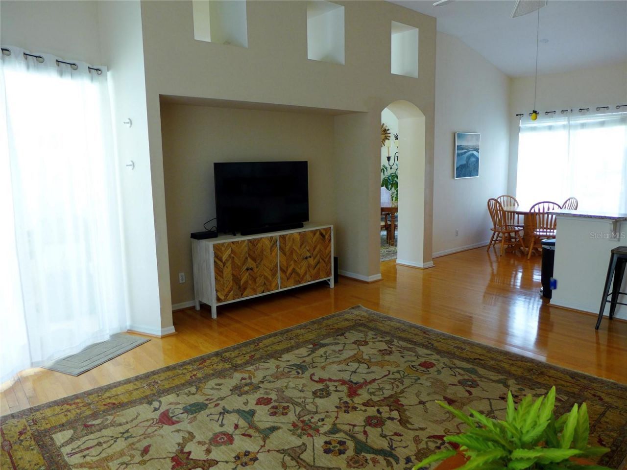 9003 Oakcrest Circle, Mount Dora, FL 32757 Photo