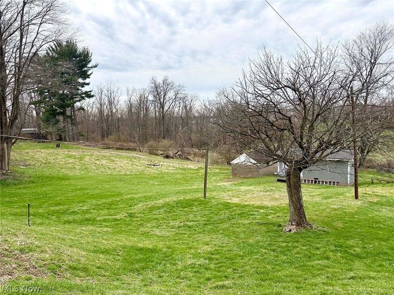 331 Saint Clair Avenue, Cadiz, OH 43907 Photo 6