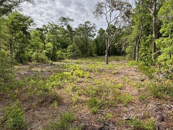 NE 682nd Ave, Old Town, FL 32680