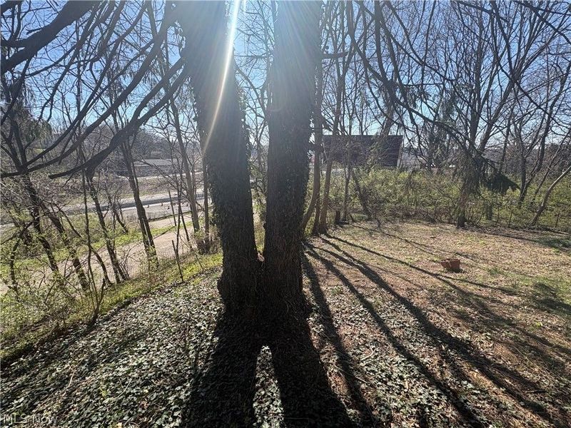 437 Warwick Avenue, Zanesville, OH 43701 Photo 11