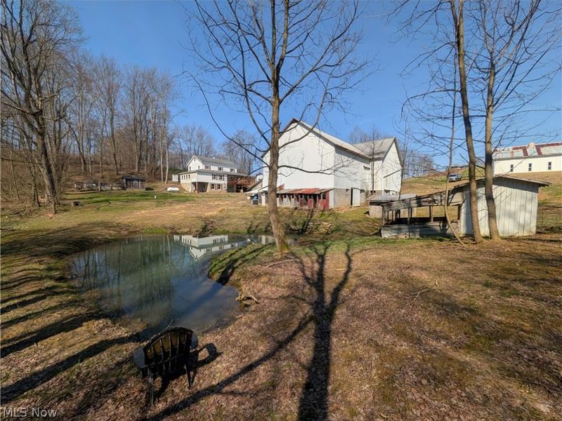 5696 Township Road 289, Hammondsville, OH 43945 Photo 26