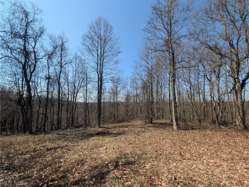 5696 Township Road 289, Hammondsville, OH 43945 Photo 34