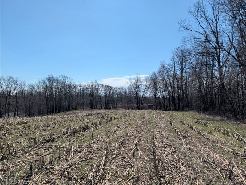 5696 Township Road 289, Hammondsville, OH 43945 Photo 35