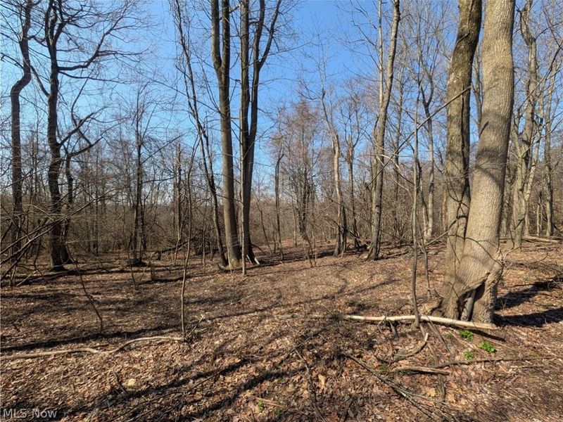 5696 Township Road 289, Hammondsville, OH 43945 Photo 36