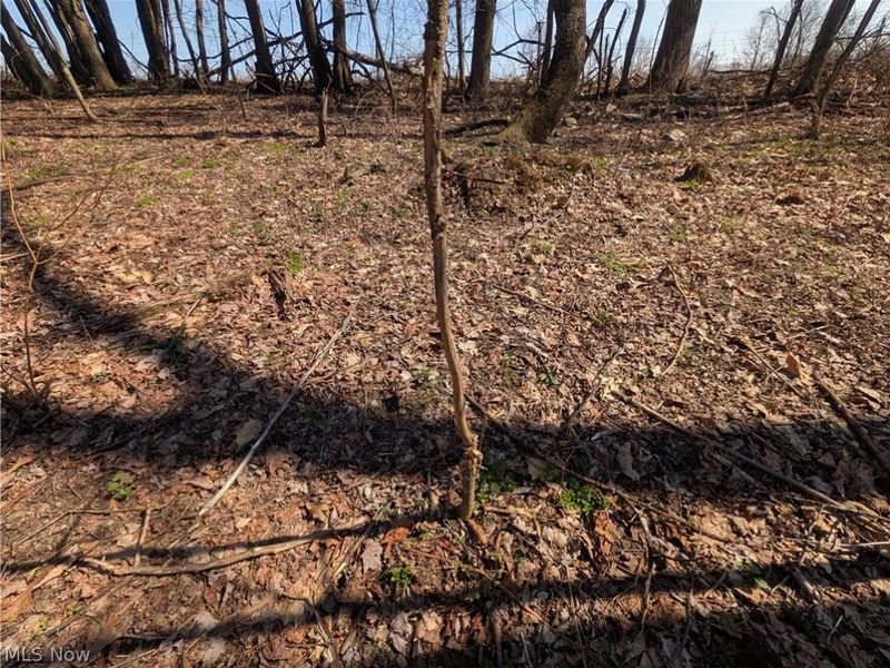 5696 Township Road 289, Hammondsville, OH 43945 Photo 37