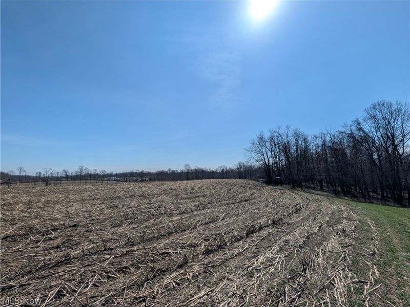 5696 Township Road 289, Hammondsville, OH 43945 Photo 43