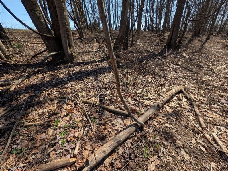 5696 Township Road 289, Hammondsville, OH 43945 Photo 44