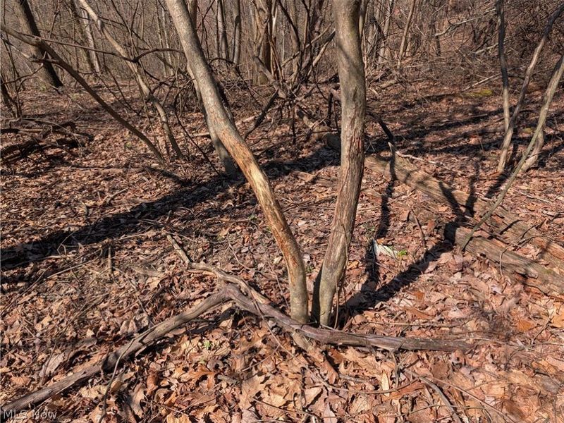 5696 Township Road 289, Hammondsville, OH 43945 Photo 45