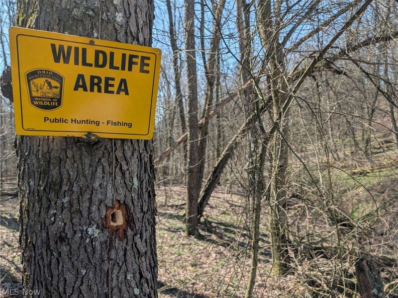 5696 Township Road 289, Hammondsville, OH 43945 Photo 46