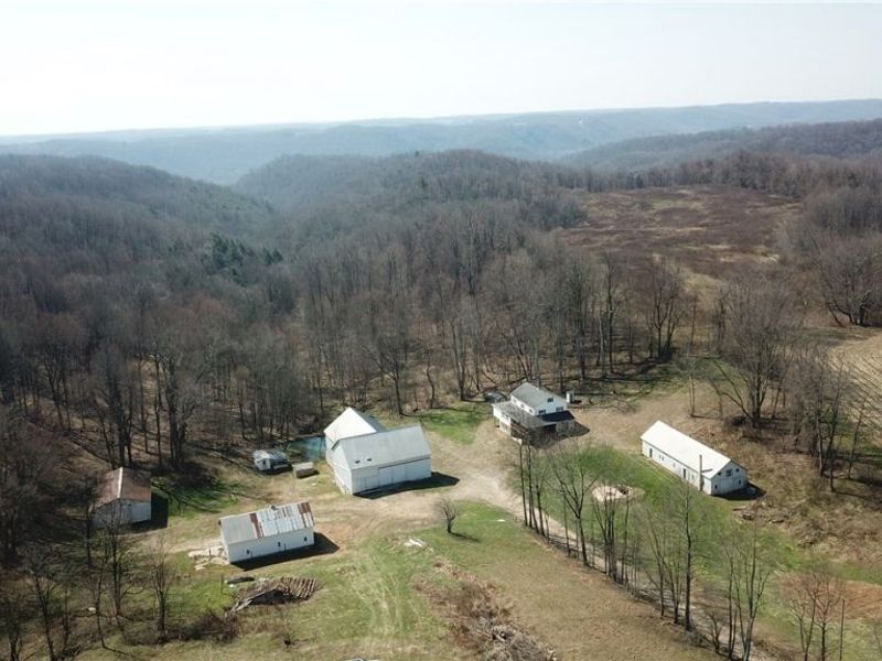 5696 Township Road 289, Hammondsville, OH 43945 Photo 1