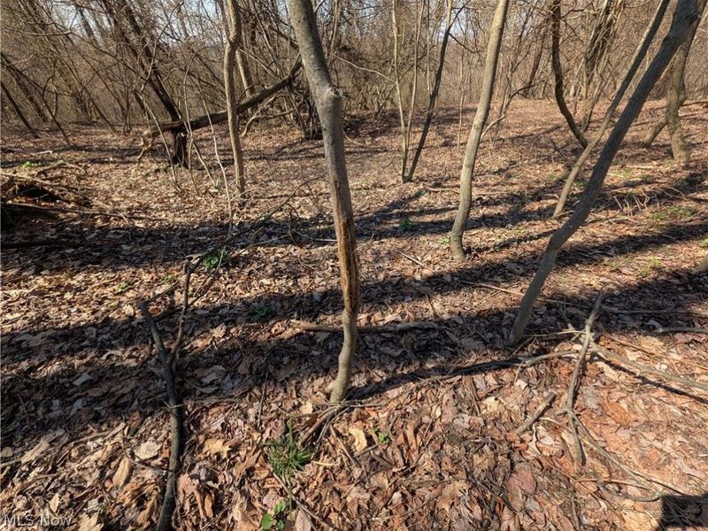 5696 Township Road 289, Hammondsville, OH 43945 Photo 32