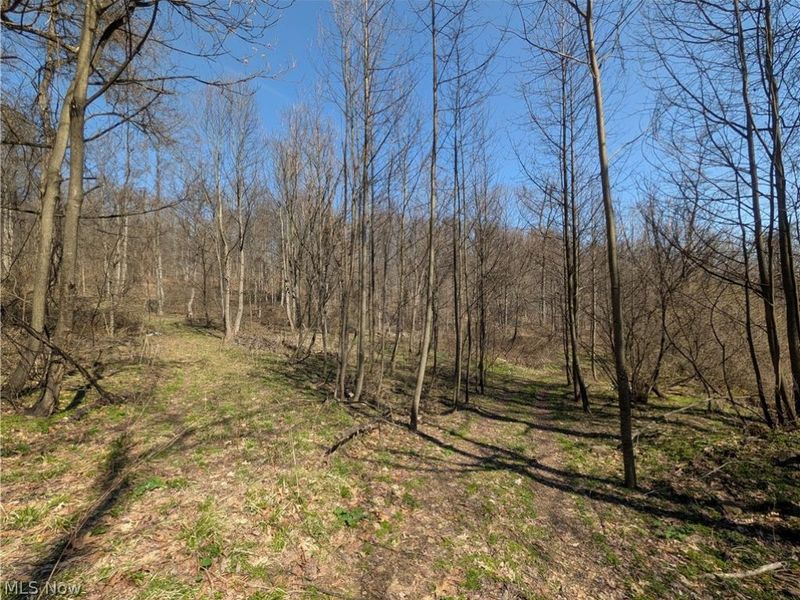 5696 Township Road 289, Hammondsville, OH 43945 Photo 43