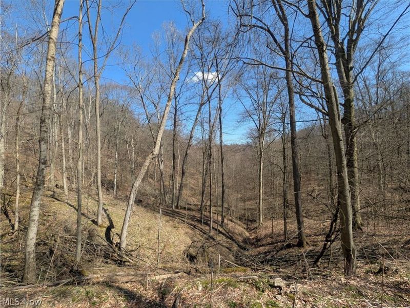 5696 Township Road 289, Hammondsville, OH 43945 Photo 46