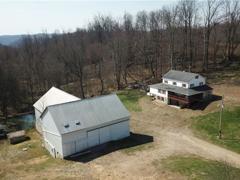 5696 Township Road 289, Hammondsville, OH 43945 Photo 6