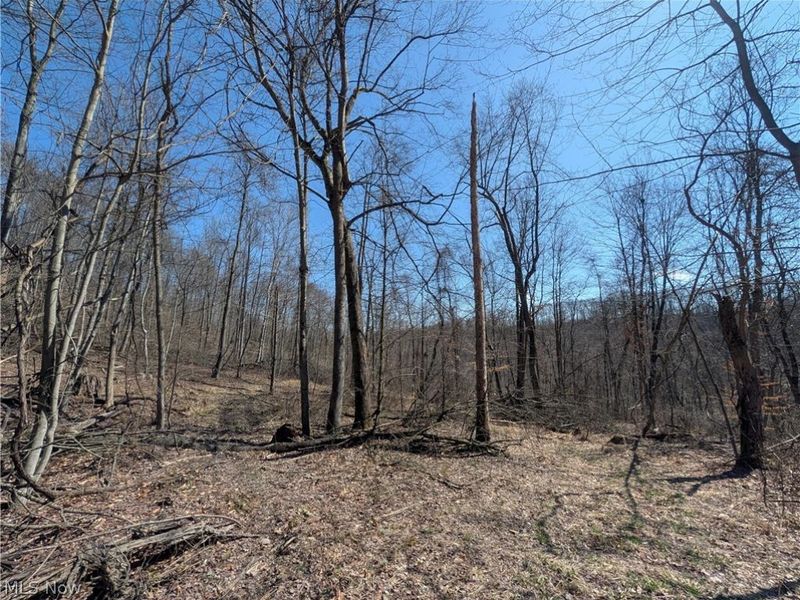 Township Road 289, Hammondsville, OH 43945 Photo 10