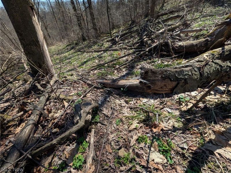 Township Road 289, Hammondsville, OH 43945 Photo 11