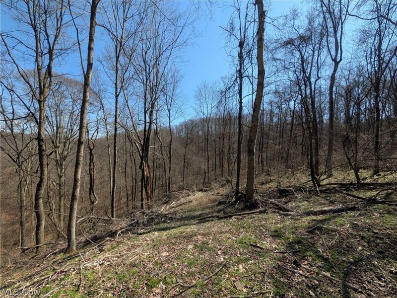 Township Road 289, Hammondsville, OH 43945 Photo 12