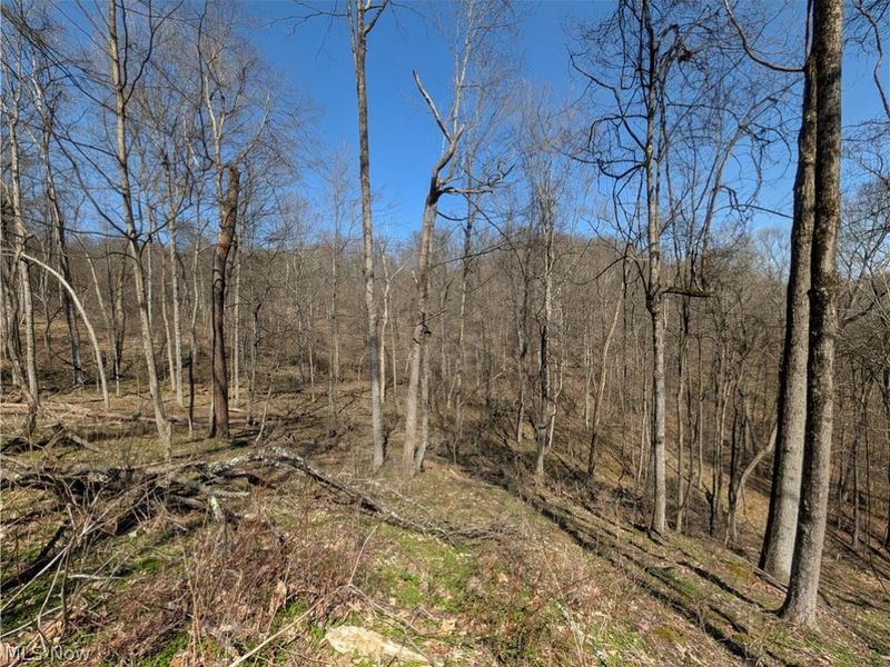 Township Road 289, Hammondsville, OH 43945 Photo 13