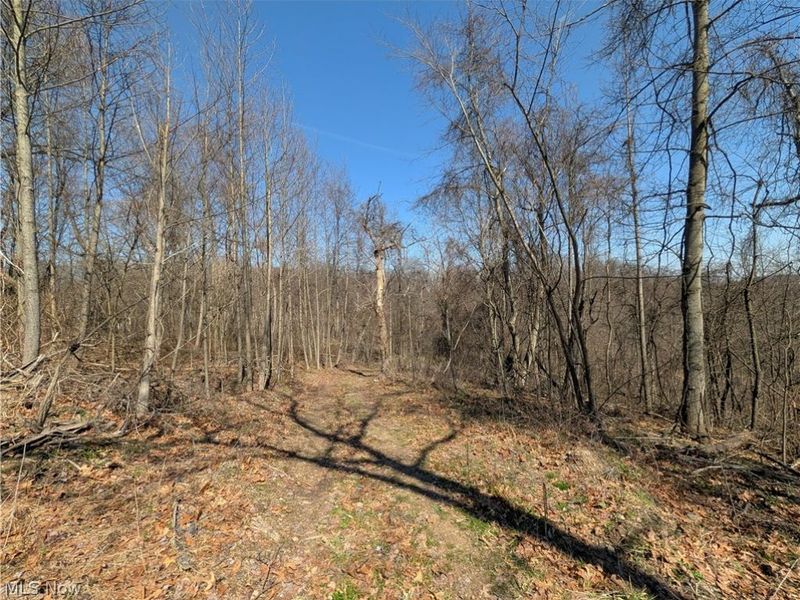 Township Road 289, Hammondsville, OH 43945 Photo 16