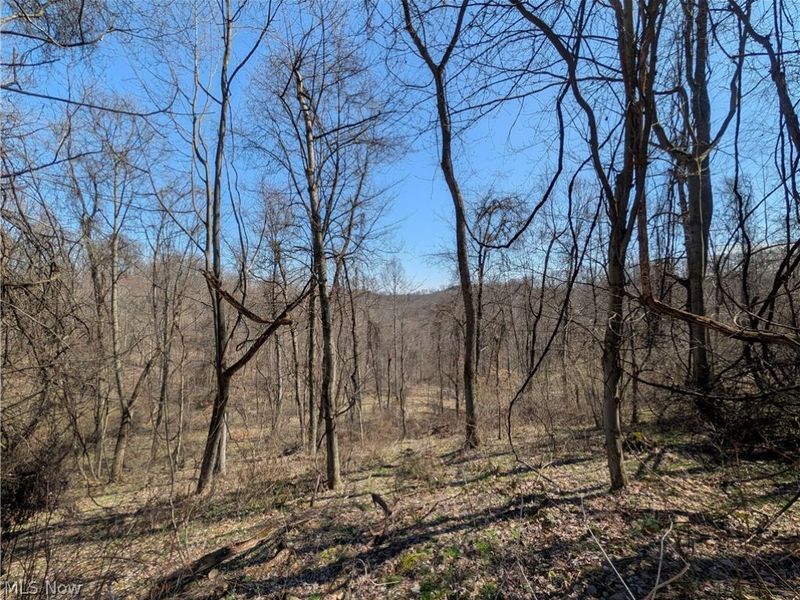 Township Road 289, Hammondsville, OH 43945 Photo 17