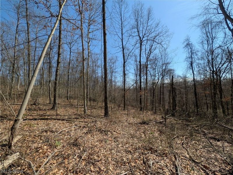 Township Road 289, Hammondsville, OH 43945 Photo 19