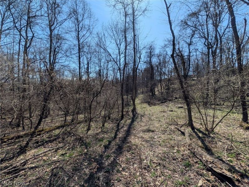 Township Road 289, Hammondsville, OH 43945 Photo 2