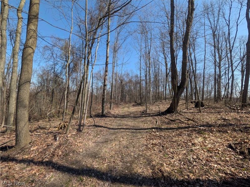 Township Road 289, Hammondsville, OH 43945 Photo 20