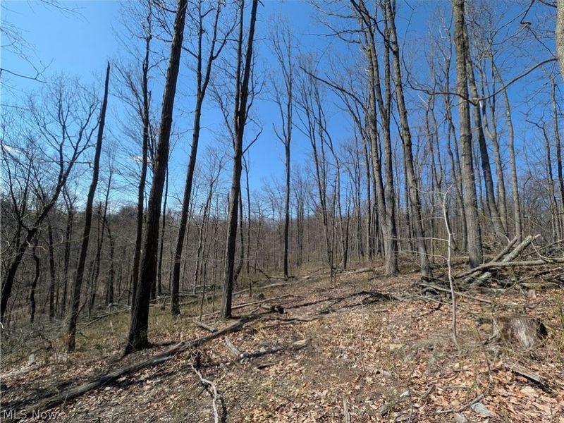 Township Road 289, Hammondsville, OH 43945 Photo 21