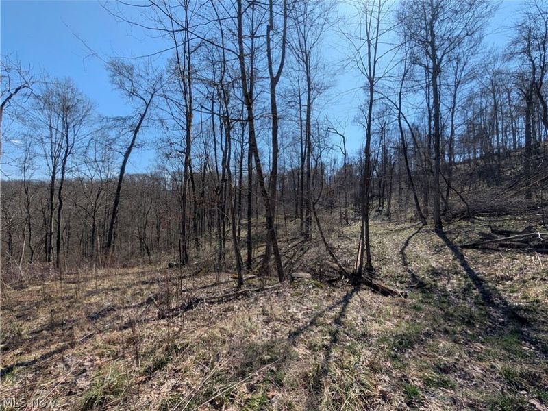 Township Road 289, Hammondsville, OH 43945 Photo 22