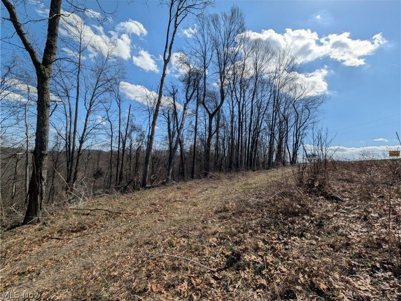 Township Road 289, Hammondsville, OH 43945 Photo 24