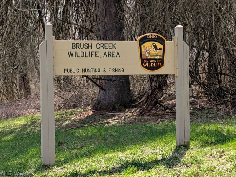 Township Road 289, Hammondsville, OH 43945 Photo 25