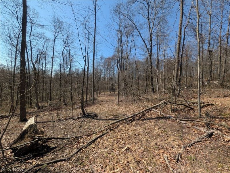 Township Road 289, Hammondsville, OH 43945 Photo 3