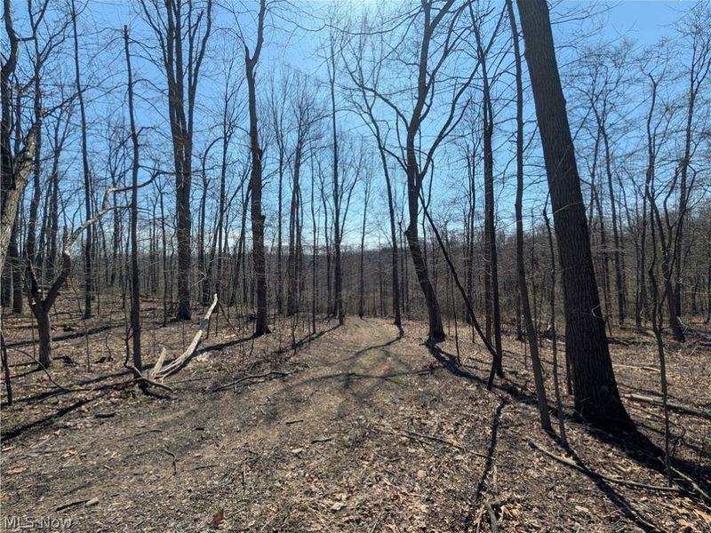 Township Road 289, Hammondsville, OH 43945 Photo 4