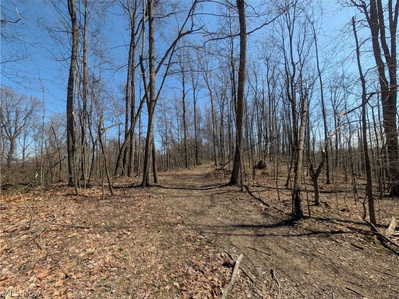 Township Road 289, Hammondsville, OH 43945 Photo 5