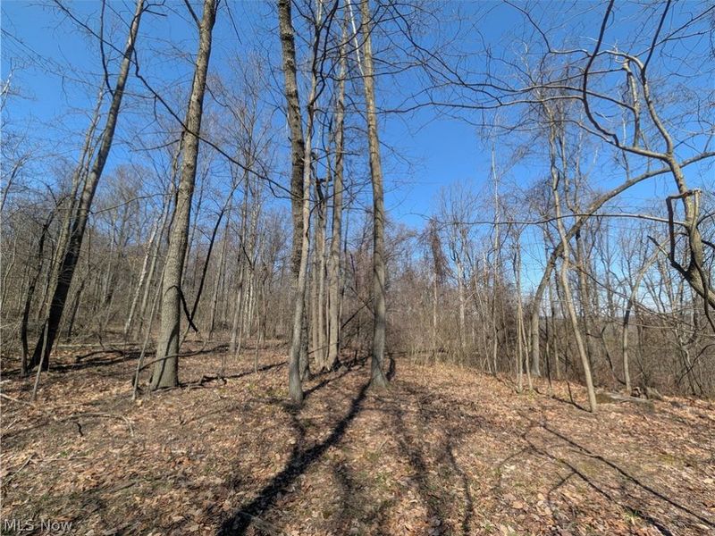 Township Road 289, Hammondsville, OH 43945 Photo 6