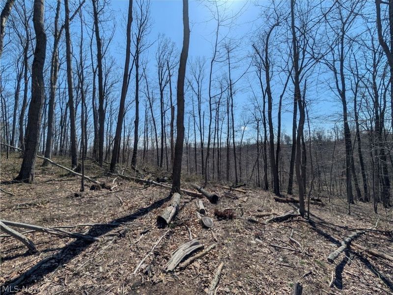 Township Road 289, Hammondsville, OH 43945 Photo 7